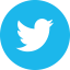 Twitter Logo